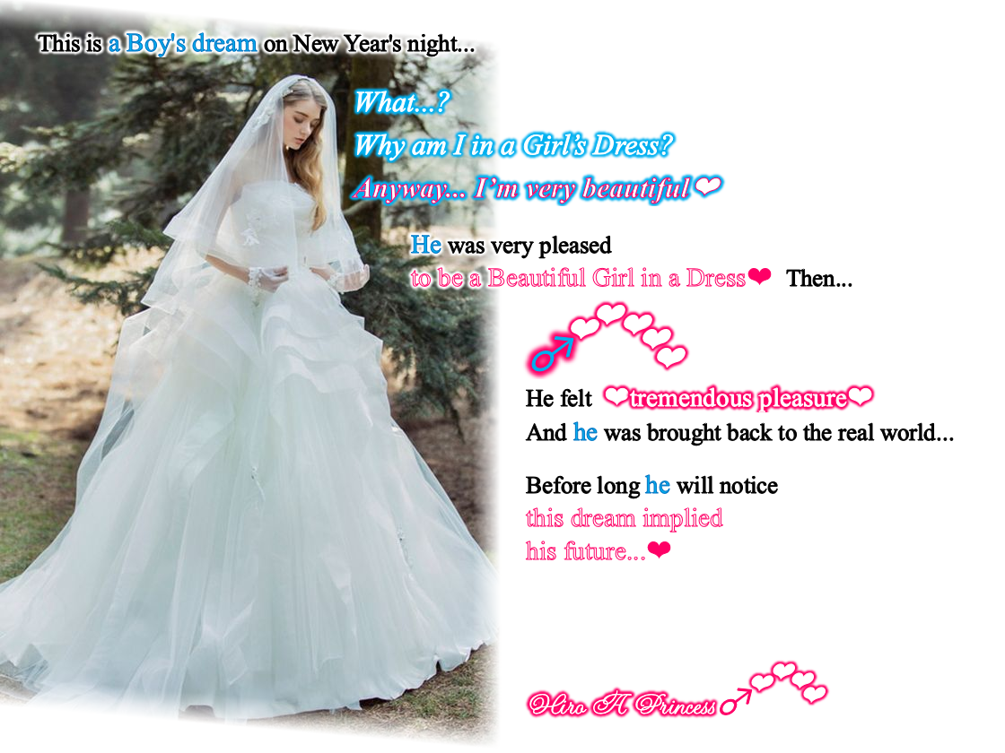 The boys dream implied a future he will be in a beautiful dress E