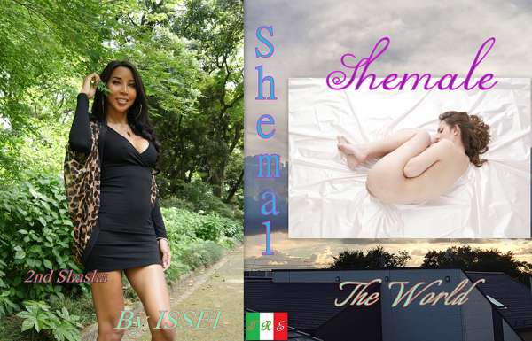 Shemale The World Shashaメイン画像